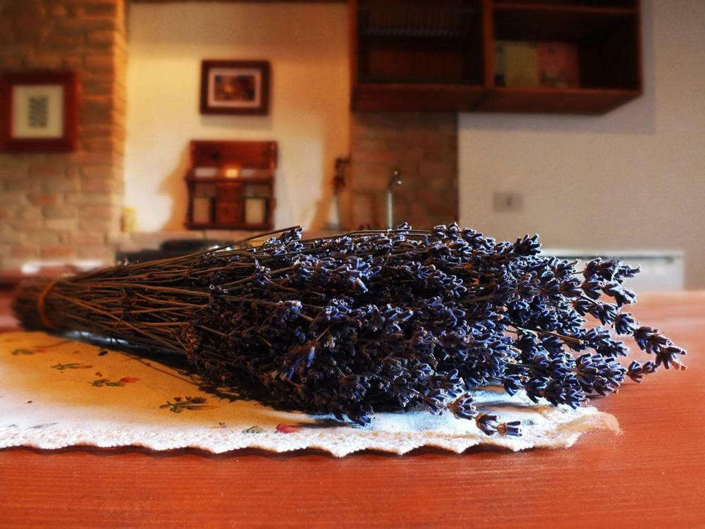 Agriturismo La Casa Della Lavanda - Il Casale 몬테 산 비토 외부 사진